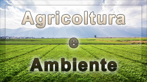 AGRICOLTURA E AMBIENTE